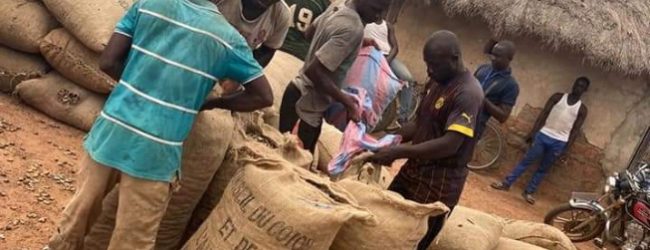 Côte d’Ivoire/Campagne 2022 de la cajou: 17% de la production devrait être transformé localement
