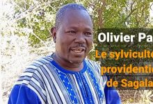 Olivier Paré : Le Sylviculteur Providentiel de Sagala