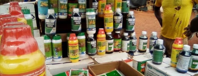 Agriculture : 126 pesticides prohibés recensés sur le marché burkinabè (enquête COPAGEN Burkina)