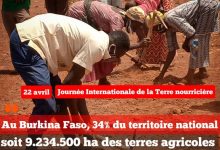 Aujourd’hui, le monde célèbre la «Terre nourricière»