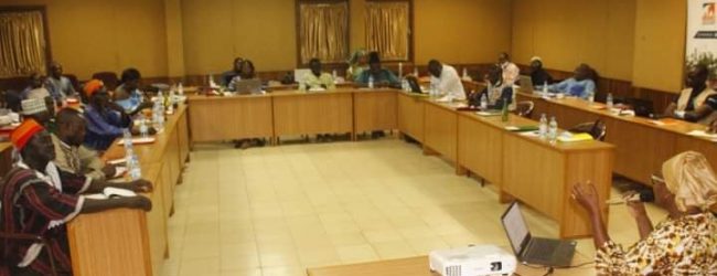 Commerce illégal des ânes au Burkina : Coutumiers, religieux et OSC réunis pour stopper l’hémorragie