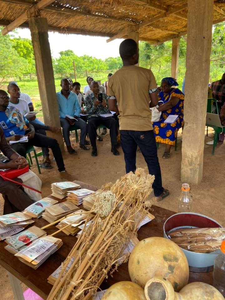 Agriculture : Le CNABio renforce les compétences de ses membres et partenaires en production de semences maraichères