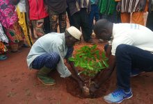 Burkina Faso : Bientôt une nouvelle forêt à l’image de celle de Yacouba Savadogo