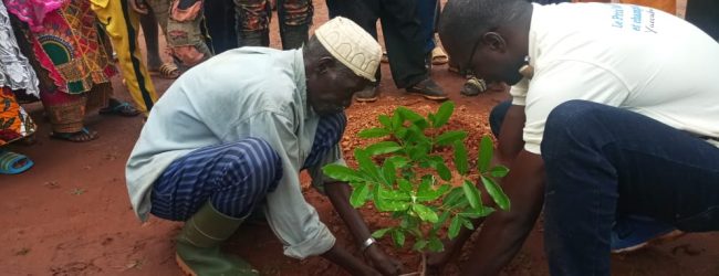 Burkina Faso : Bientôt une nouvelle forêt à l’image de celle de Yacouba Savadogo