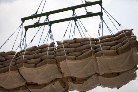 L’Egypte a exporté 6 millions de tonnes de produits agricoles en 2022