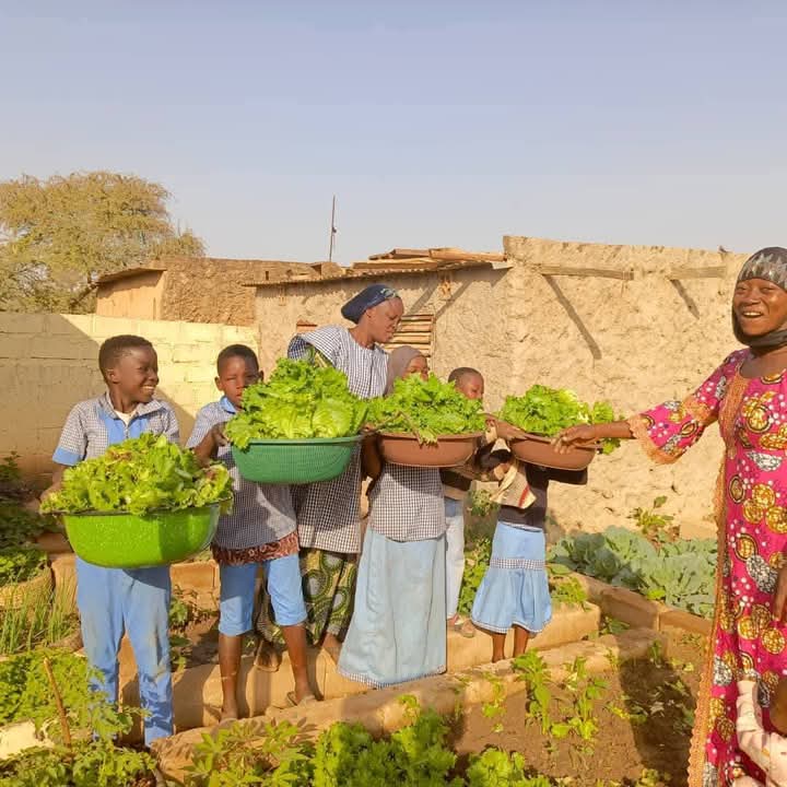 Ouagadougou : des élèves produisent la laitue pour leur cantine.