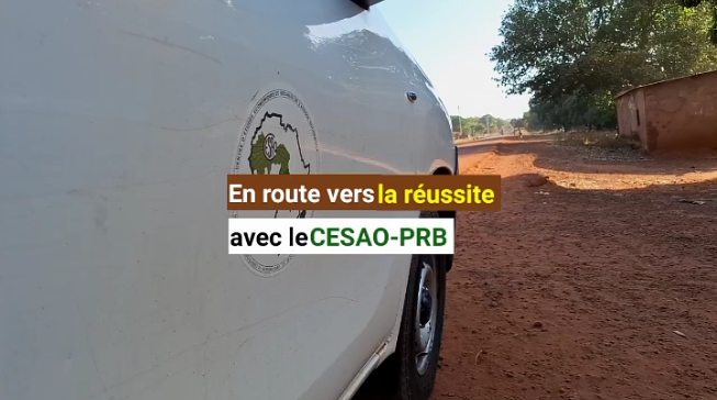 En route vers la réussite avec le CESAO-PRB