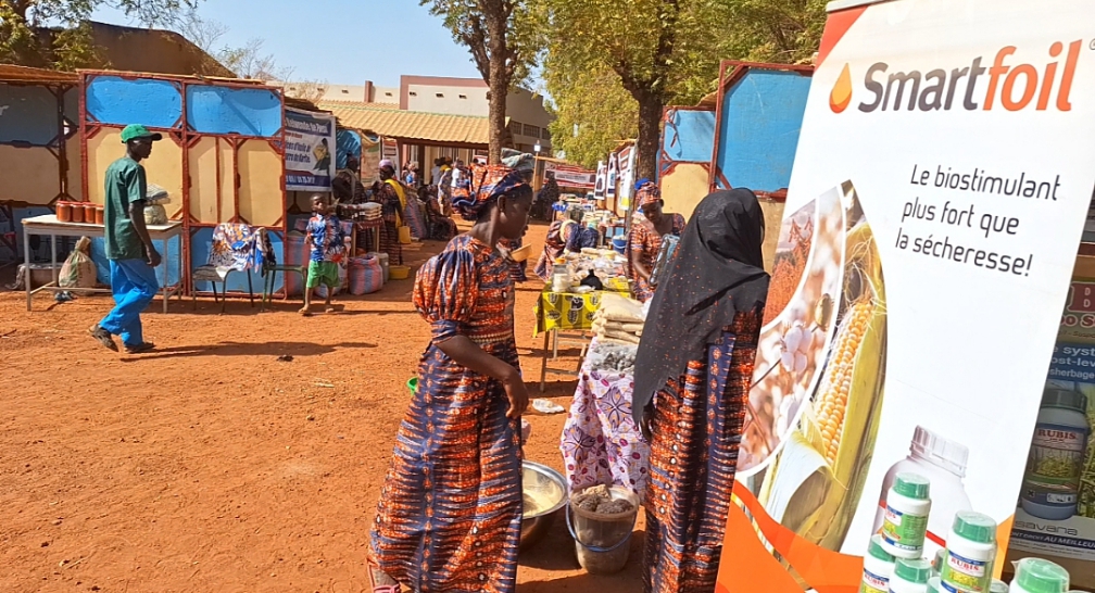 Centre-ouest du Burkina Faso : L’ONG Res Publica crée des débouchés commerciaux pour des producteurs et transformateurs