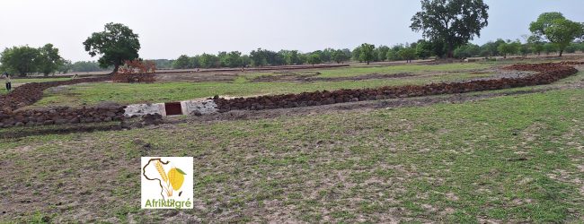 Dynamisation de la production agricole au Burkina Faso : 20 ha de bas-fonds en cours d’aménagement à Wolsama