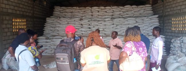 Promotion de l’agroécologie, des journalistes mettent la main à la pâte