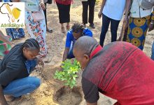 Ouagadougou : “L’heure patriotique pour reverdir le Faso” respectée au  Centre médical urbain Gounghin 06