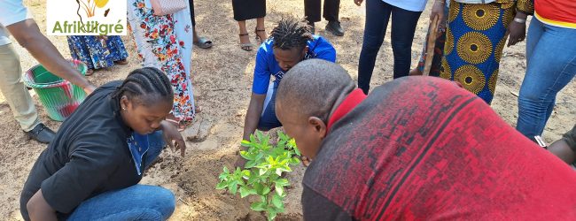 Ouagadougou : “L’heure patriotique pour reverdir le Faso” respectée au  Centre médical urbain Gounghin 06