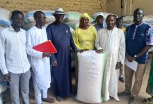 Multiplication de semences d’arachide : l’Institut Sénégalais de Recherches Agricole (ISRA) distribue de la prébase au𝐱 opérateurs semenciers