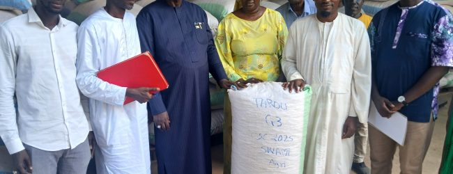 Multiplication de semences d’arachide : l’Institut Sénégalais de Recherches Agricole (ISRA) distribue de la prébase au𝐱 opérateurs semenciers