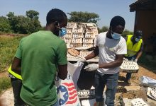 Centre-est du Burkina Faso: 4500 poussins chair infectés  par l’influenza aviaire hautement pathogène saisis et détruits à Bittou