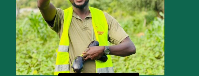 Entretien : Oussena Kabre Moussa le “Paysan Bachelor”: ” j’ai eu l’honneur de contribuer à la formation d’environ 250 VDP agricoles”