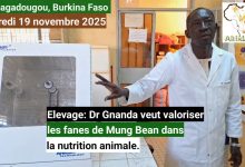 Burkina Faso: Dr Gnanda veut valoriser les fanes de Mung Bean dans la nutrition animale