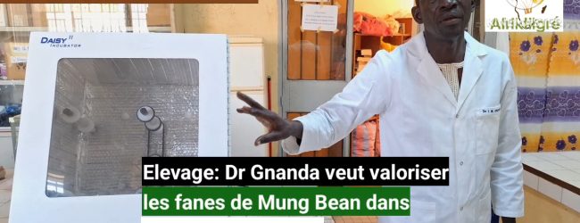 Burkina Faso: Dr Gnanda veut valoriser les fanes de Mung Bean dans la nutrition animale