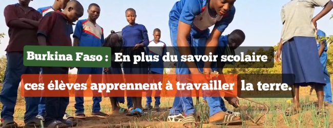 Burkina Faso: En plus du savoir scolaire, ces élèves apprennent à travailler la terre