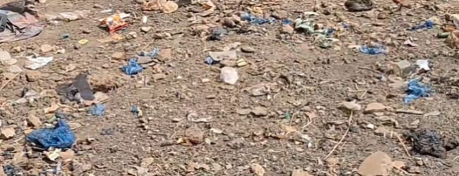 Environnement  : l’Université Joseph Ki-Zerbo lance un projet pour lutter contre les emballages alimentaires en plastique