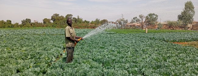 Belle saison sèche à Fada N’Gourma