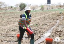 Le Burkina Faso compte désormais cinq agropôles
