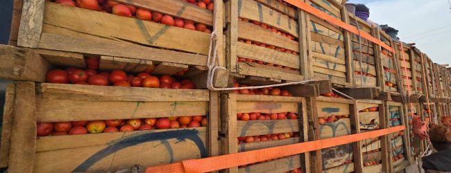 Répression de la fraude au Burkina Faso : Des cargaisons de tomates et d’oignons saisies