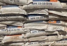 440 sacs d’engrais introduits clandestinement sur le territoire Burkinabè, saisis par la douane