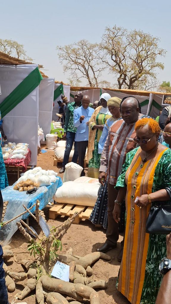 Foire: Le manioc dans toutes ses facettes à Pabré