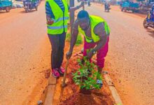 Environnement : Bobo Dioulasso plante pour paraître plus belle