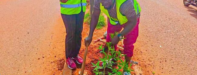 Environnement : Bobo Dioulasso plante pour paraître plus belle
