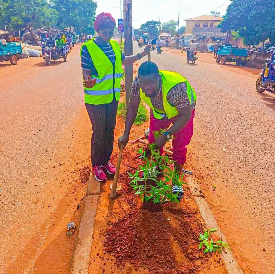 Environnement : Bobo Dioulasso plante pour paraître plus belle
