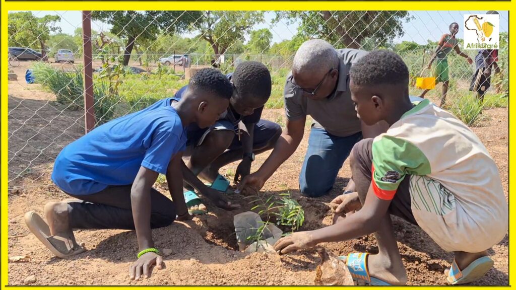 "Une école, un bosquet", l'Association Antenna Baobab fait revivre le slogan de Thomas Sankara
