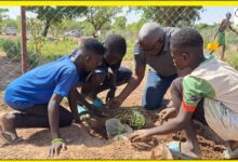 “Une école, un bosquet”, l’Association Antenna Baobab fait revivre le slogan de Thomas Sankara