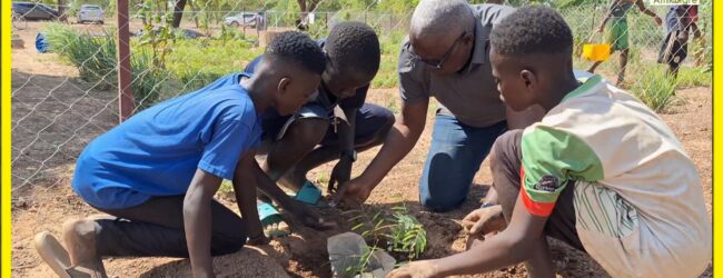 “Une école, un bosquet”, l’Association Antenna Baobab fait revivre le slogan de Thomas Sankara
