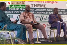 La valorisation de l’expertise Burkinabè au coeur d’un panel à Ouagadougou