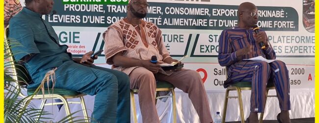 La valorisation de l’expertise Burkinabè au coeur d’un panel à Ouagadougou