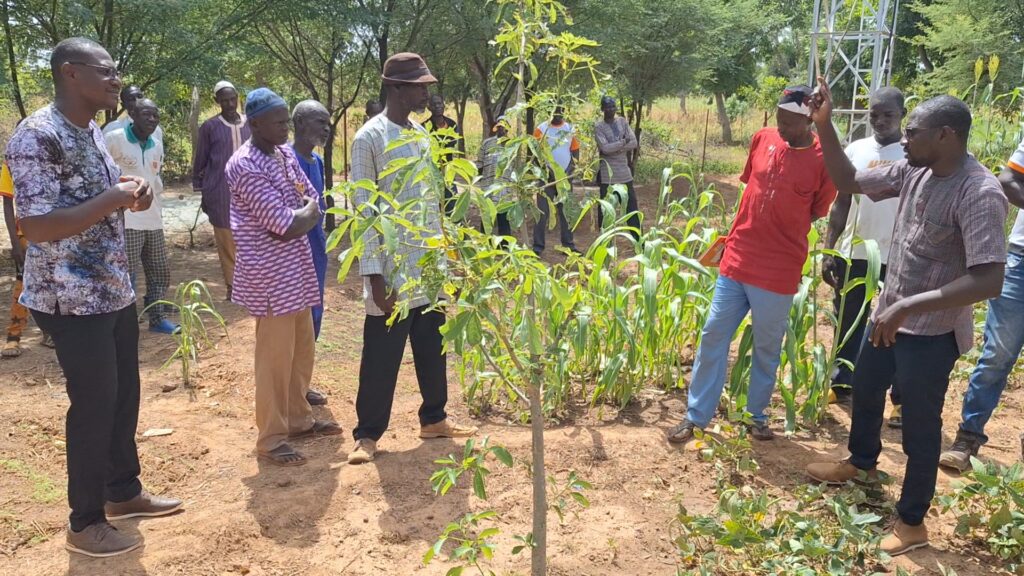 Soutien aux agriculteurs : Inades Formation Burkina fait dans le concret