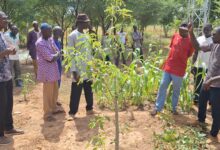 Soutien aux agriculteurs : Inades Formation Burkina fait dans le concret