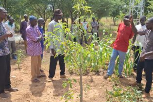 Soutien aux agriculteurs : Inades Formation Burkina fait dans le concret
