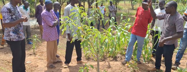 Soutien aux agriculteurs : Inades Formation Burkina fait dans le concret