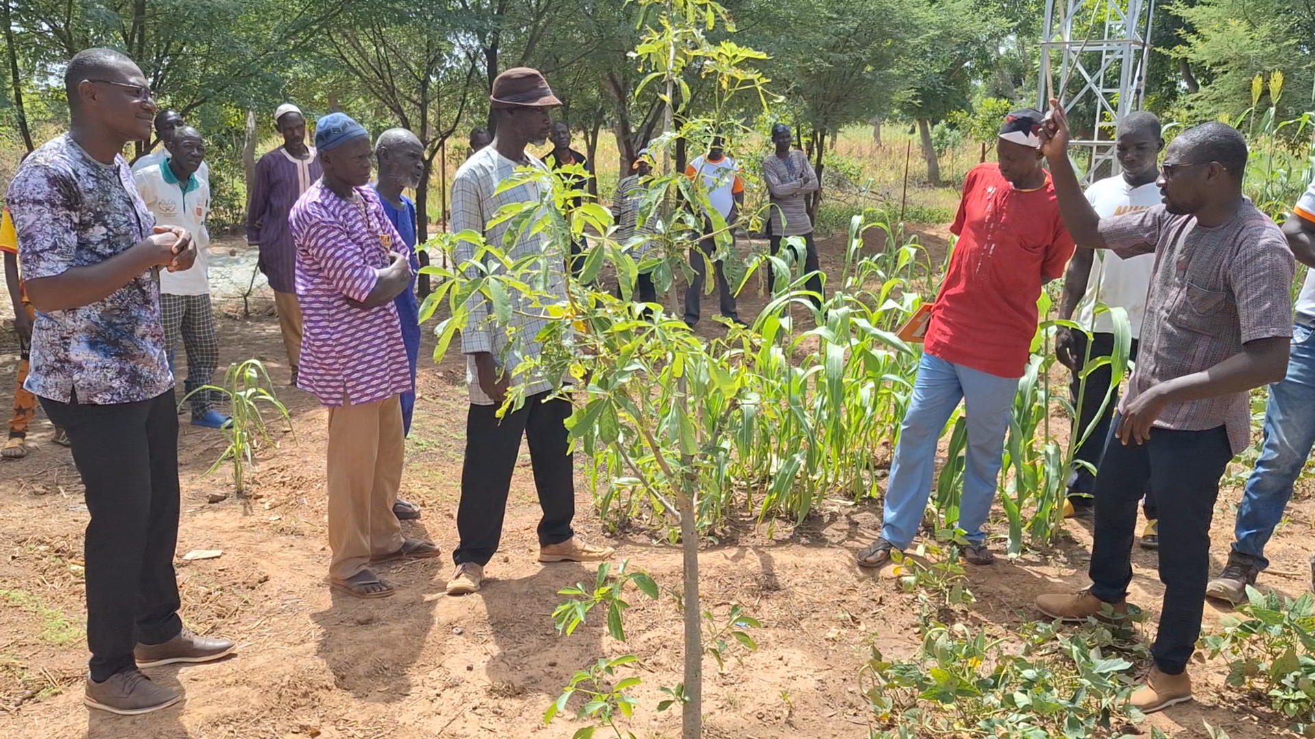Soutien aux agriculteurs : Inades Formation Burkina fait dans le concret